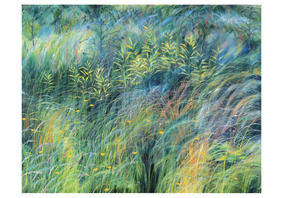 Rosalind Wise: Meadows Boxed Notecards