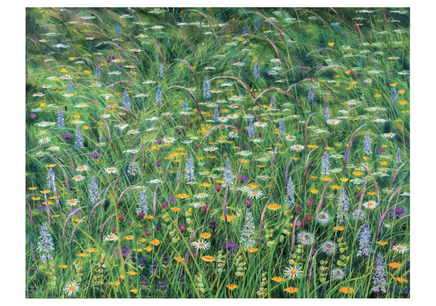 Rosalind Wise: Meadows Boxed Notecards