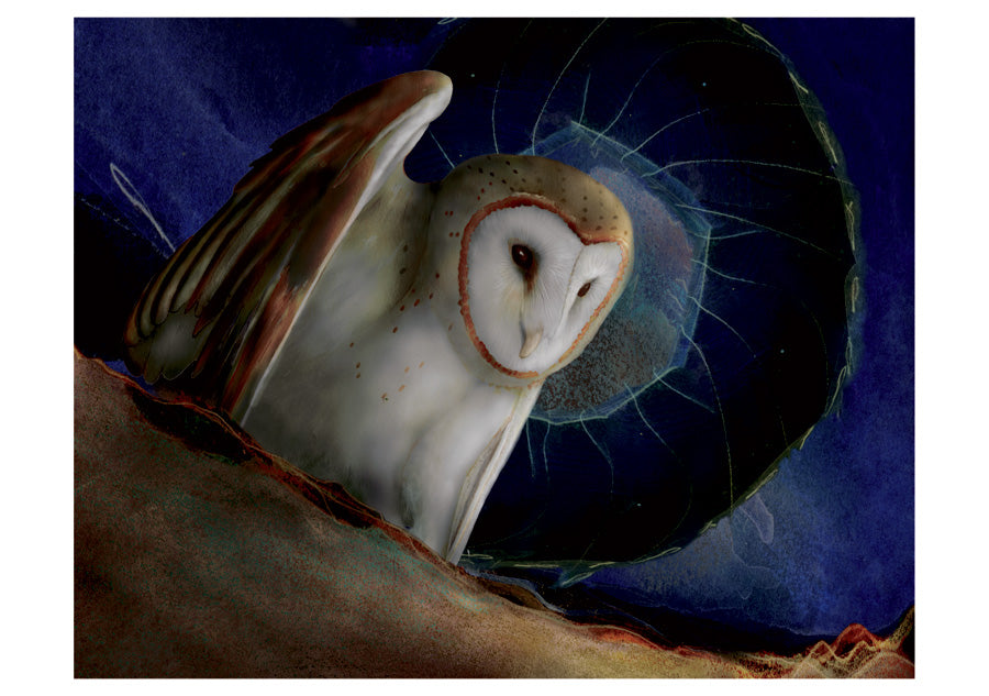 Barn Owls Boxed Notecards