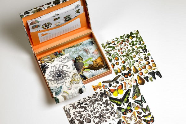 Natural History Letter Writing Set