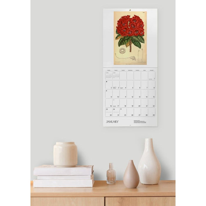 The Illustrated Garden Prints from Curtiss Botanical Magazine 2022 Wall Calendar