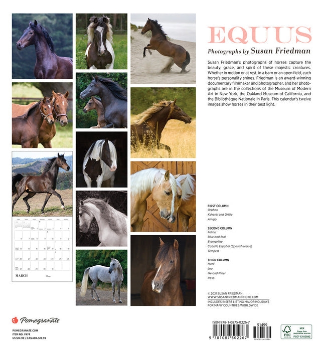 Equus: Photographs by Susan Friedman 2022 Wall Calendar