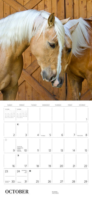 Equus: Photographs by Susan Friedman 2022 Wall Calendar