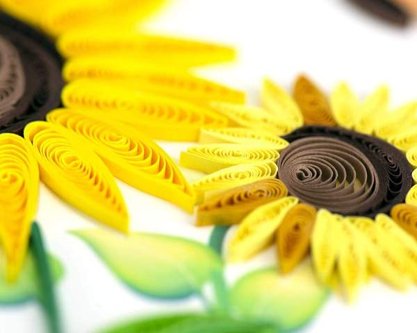 Quilled Sunflower Greeting Card