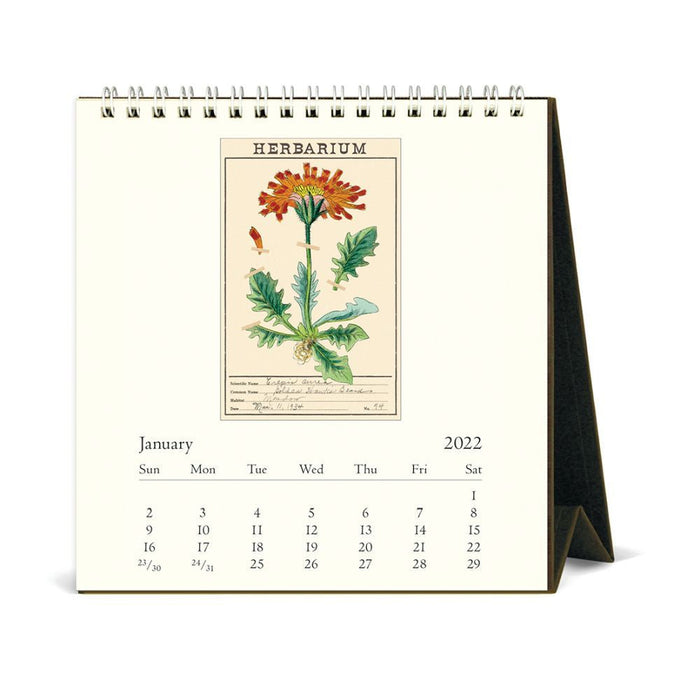 Cavallini 2022 Easel Calendar: Herbarium