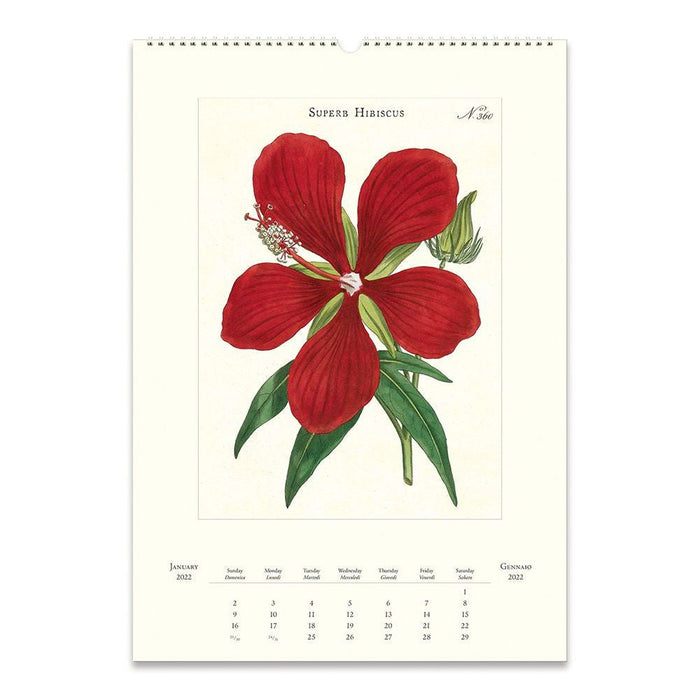 Cavallini 2022 Wall Calendar: Botanica