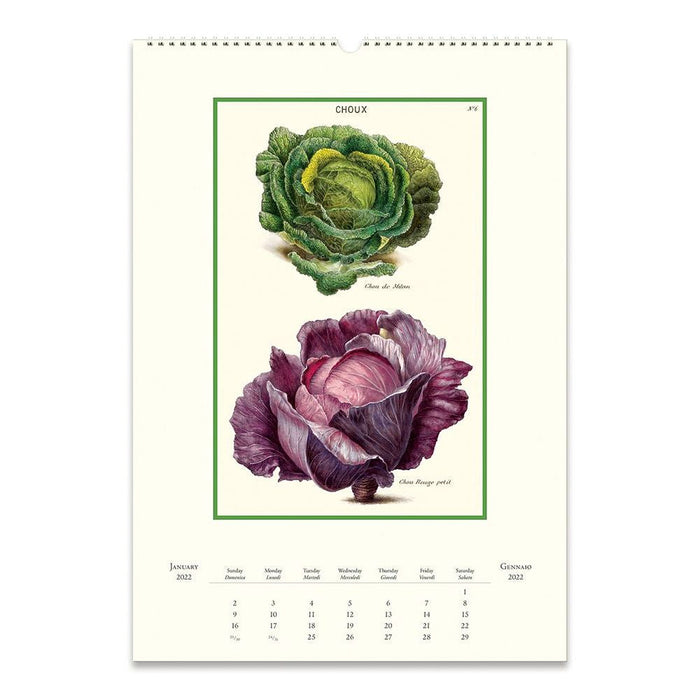 Cavallini 2022 Wall Calendar: Farmers Market