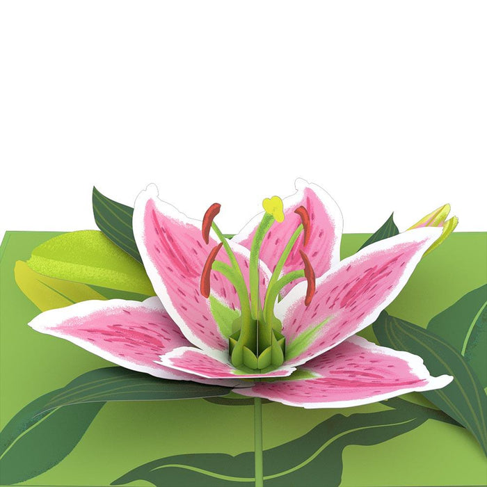 Lily Bloom 3D Pop Up card