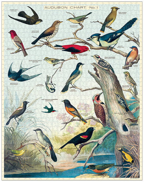 Audubon Birds 1000 Piece Jigsaw Puzzle