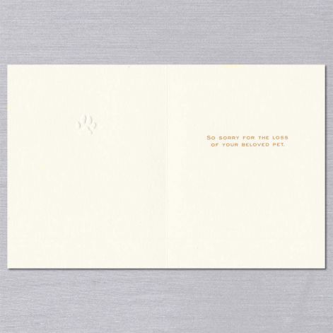 Crane Paper Blind Debossed Pawprint Letterpressed Ecru Pet Sympathy Card