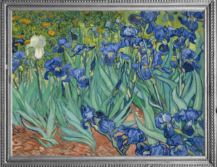 FINE ART RAINCAPER - VAN GOGH IRISES TRAVEL CAPE